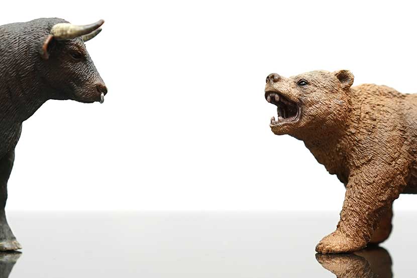 bear Ferocious bear figurine roaring at a bull figurine