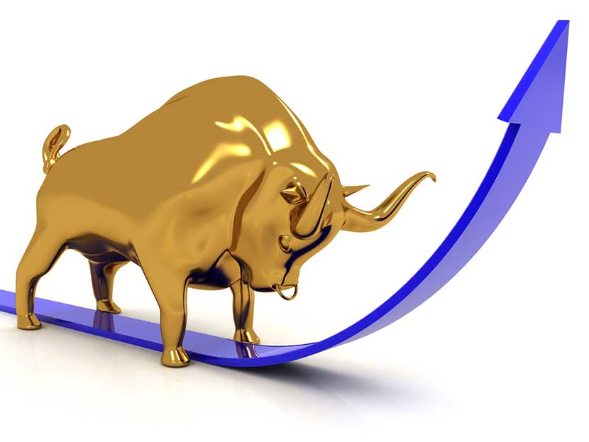 gold-bull Bull stock market symbol with purple arrow going up