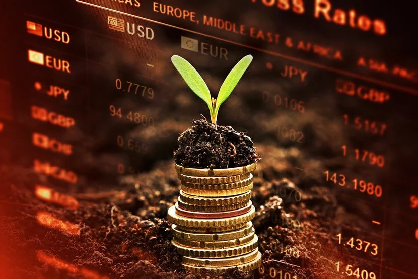 Stack of gold coins and plant growing, illustrating how you could grow your wealth with gold