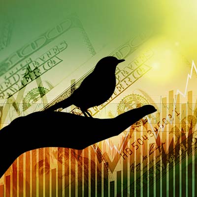 silhouette of hand holding a bird placed in front of a yellow/green background of graphs increasing and U.S. hundred dollar bills overlaid on top and faded