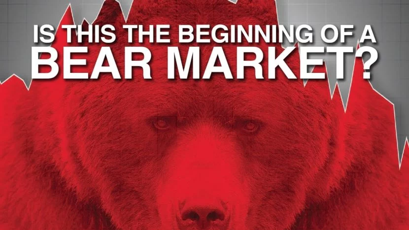 Is This The Beginning of a Bear Market? enlarged red grizzly bear indicating that this is the beginning of a bear market