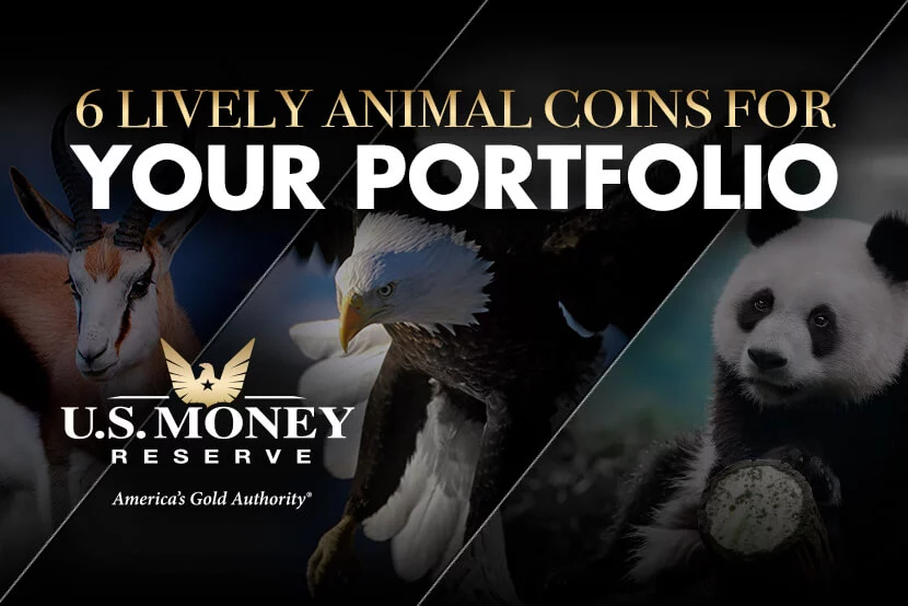 Springbok, eagle, and panda as examples of animals on coins