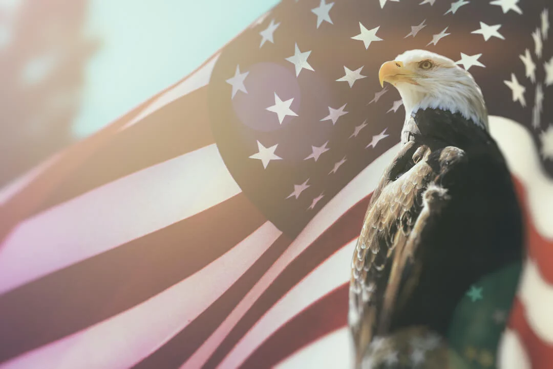 American Flag Behind Eagle