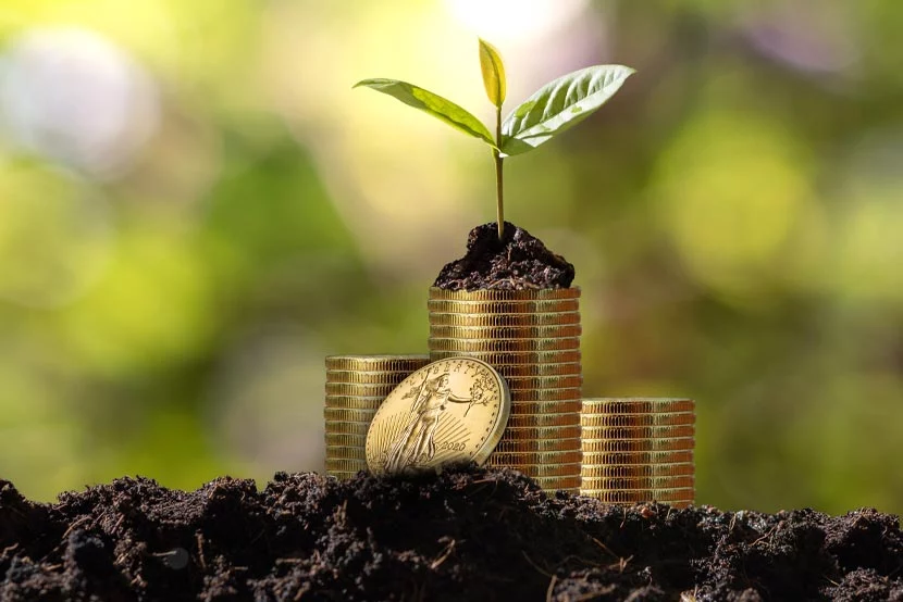 Graphic showing plant growing from stack of gold coins