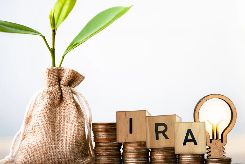 Why-We-Started-a-Self-Directed-IRA_GNV Potato sack with plant growing out of it, coins supporting Scrabble letters forming IRA and a lightbulb graphic