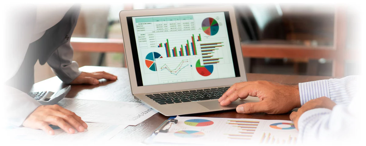 Business people examining financial portfolio on laptop