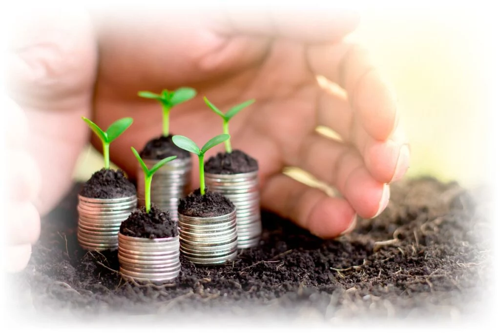 Hands protecting seedlings growing on stacks of coins
