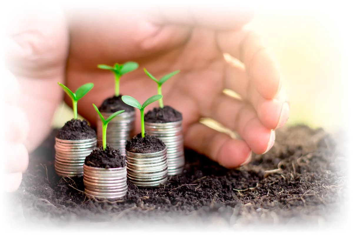 Hands protecting seedlings growing on stacks of coins