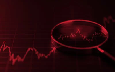 The Stock Market Keeps Climbing. So Do the Warning Signs.